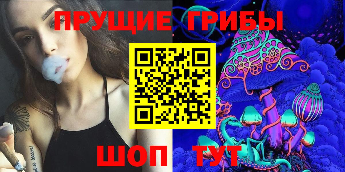 Артём  Псилоцибиновые грибы MAGIC MUSHROOMS  Вход с VPN 